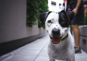 Novi tjedan, nova knjiga – Gost