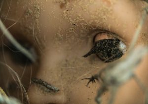 Može li feminizam nešto naučiti iz Petrarcinog Kanconijera?