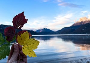 Stari svijet i u njemu Hrvatska