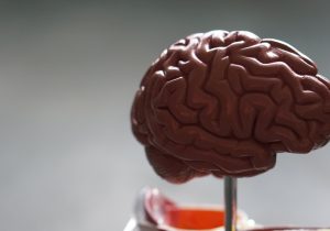 Ovaj tjedan u bioetici: 5. 4. 2021. – 11. 4. 2021.