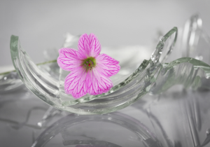 22. rujan – Nacionalni dan borbe protiv nasilja nad ženama