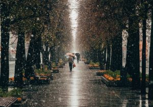 Što raditi na kišni dan?