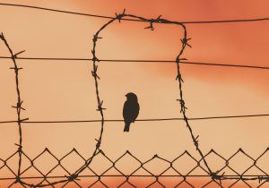 Ropstvo i robovlasništvo – od nekadašnjih institucija do moderne pojave