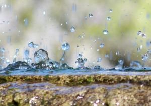 Utisak kišne večeri