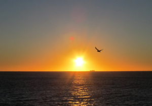 3 savjeta za povratak u svakodnevicu nakon ljeta