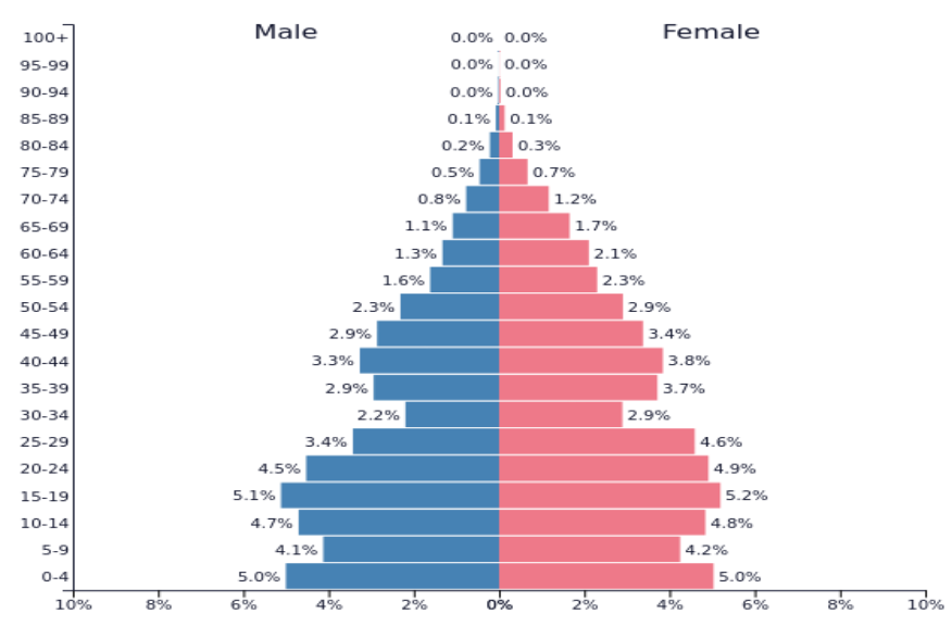 Približan primjer populacijske piramide Hrvatske 1950.
Izvor: PopulationPyramid